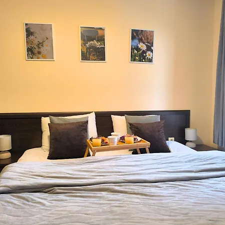 Mountain Heaven Retreat With Free Bottle Of Wine Close To Gondola, Free Parking Appartement